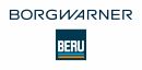 BorgWarner (BERU) ZSE176